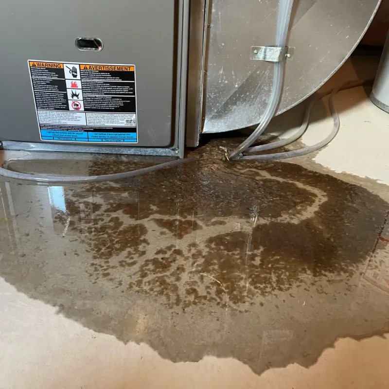 Appliance Leak Cleanup in King City, CA